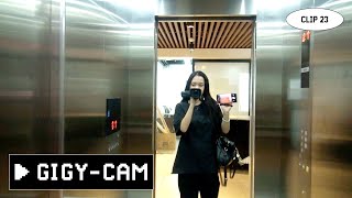 [YGIG] GIGY-Cam Clip #23 | Night Walk with Jewel 🐱🏙️🧑 : GIGY-Jools!