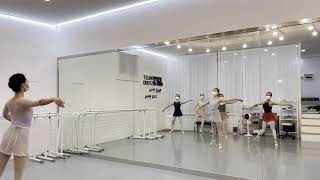 진스발레💫성인발레/취미발레/발레클래스/클래식발레작품/발레콩클/ballet/ballet class/adult ballet/