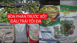 Bón Phân sầu riêng trước xổ nhụy? Bón Phân gì? Bón Vào Lúc nào??