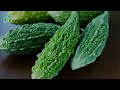 soak your feet in karela juice for 10 days and say goodbye to diabetes