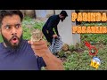 parinda pakarlia 😱 | syed fahad | the fun fin |