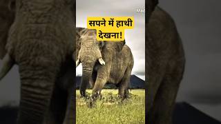 सपने में हाथी देखना | Sapne mein hathi dekhna | Elephant dream