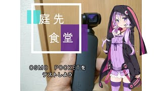 『VOICEROID車載』OSMO POCKETをテストしよう『庭先食堂』