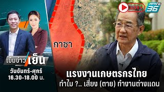 🔴 แรงงานเกษตรกรไทย ทำไม ?.. เสี่ยง (ตาย) ทำงานต่างแดน| เข้มข่าวเย็น | 11 ต.ค. 66