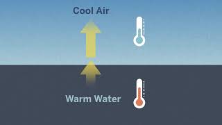 How Ocean Currents Affect Air Temperature