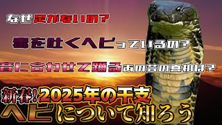 【謹賀新年】2025年の干支!ヘビの面白い生態5選