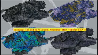 Ecological Risk and Burn Severity Assessment after Wildfires
