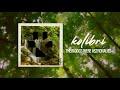 Their Dogs Were Astronauts - Kolibri // NEW SINGLE 2021