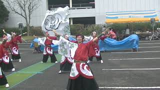 よさこい 和楽一座【高洲コミュニティセンター秋祭り2018 千葉よさこい島 】