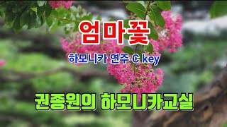 엄마꽃 - 하모니카 연주