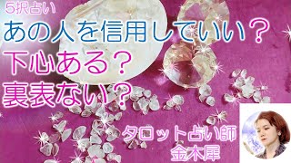 🐾仔猫ノア🐾【タロット占い５択】 あの人は裏表ない？信じて大丈夫？ごまかしがある？