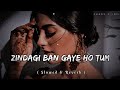 Zindagi Ban Gaye Ho Tum[90's lofi - Slowed X Reverb] Kasoor - #Udit narayan | #Alka yagnik