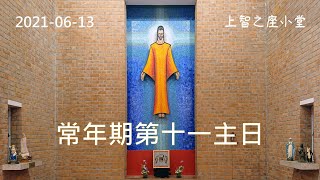 常年期第十一主日（乙年）主日彌撒 #吳智勳神父 #上智之座小堂錄影彌撒