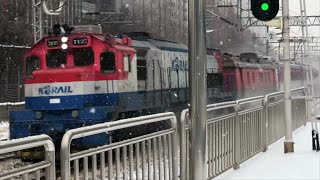 코레일 디젤기관차, Korail Diesel locomotives