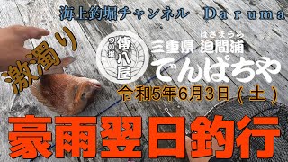 【海上釣堀】傳八屋貸切釣行です。令和5年６月３日（土）前日の豪雨の影響でアマゾン川みたいな色でした。１０時過ぎから快晴になりましたが、暴風ならぬ爆風が吹き荒れてアタリがとりずらい状況でした。