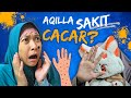 Aqilla SAKIT Cacar Air - Ga Sekolah Dihibur Sama Mbak Kunyit | Aqilla's Diary