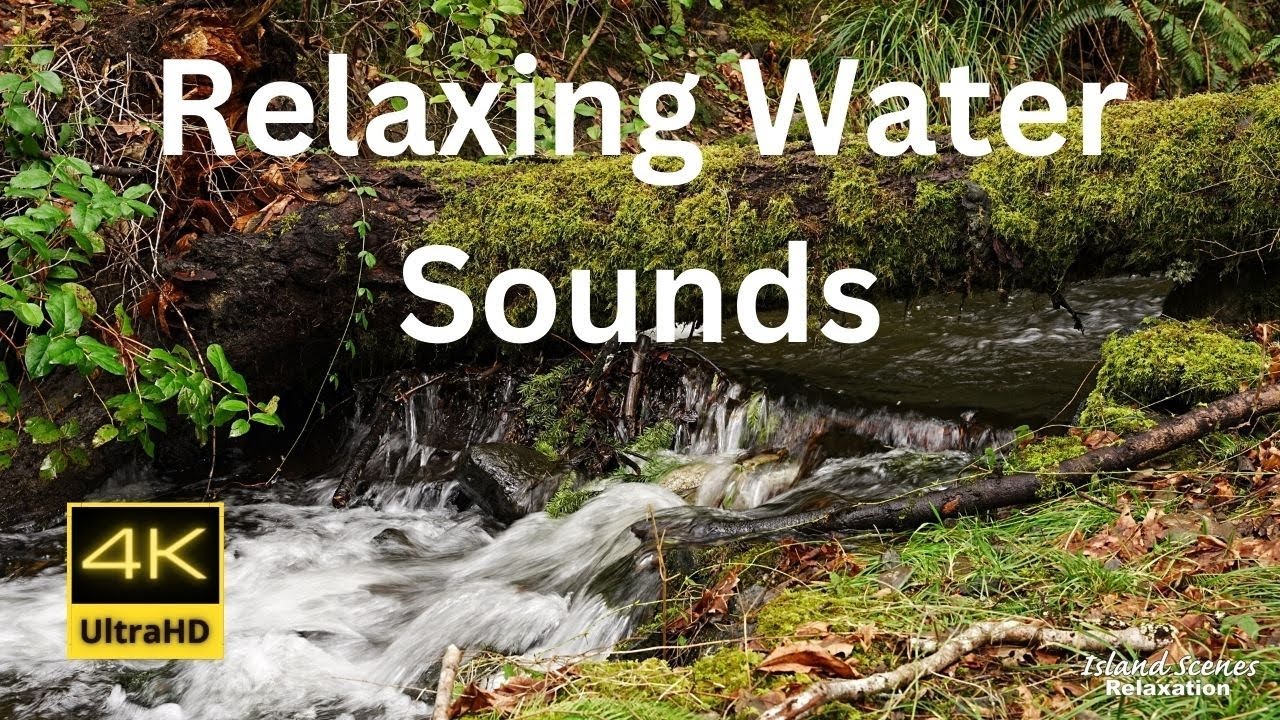 Rushing Forest Stream Relaxing Water Sounds 4k Uhd Youtube