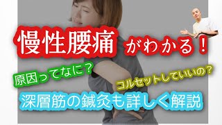 【慢性腰痛】慢性腰痛は腸腰筋が原因！特徴、原因を解説！コルセットは禁止