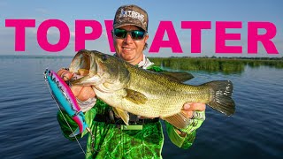 Fishing for BIG Bass w/ TOPWATER Lures - Saginaw Bay Bass Fishing