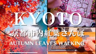 Must-visit autumn foliage spots in Kyoto City and an excellent shish-kebab restaurant in Gion.