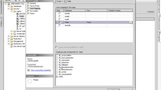 SQL Server 2005 online training Video Tutorial lesson 4 7
