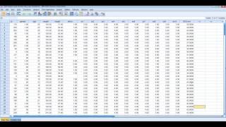 Using SPSS to Compute a New Variable
