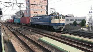 【EVERGREENコンテナ積載】4月8日西国分寺駅 新鶴見A69運用 4072レ EF65-2083 国鉄色 赤プレート