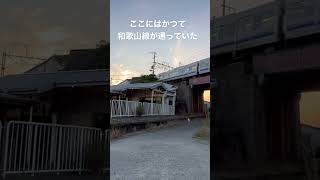 阪和線のホーム下に残る廃止されたホーム。紀伊中ノ島駅、旧和歌山線ホーム。