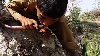 Gaon ke larko ne kamal kar diya, Unbelievable Punjab boys (Khalsa Village, Pakistan)