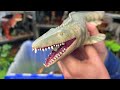 new jurassic world dinosaur model figures collection trex brachiosaurus tarbosaurus dinos