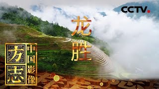 《中国影像方志》 第82集 广西龙胜篇 山是龙的脊梁 梯田是龙脊的魂 | CCTV科教