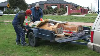 ZIGGY MARTIN PAWLIKOWSKI CYPRESS PUBLIC ART COMMISSION MELBOURNE AUSTRALIA