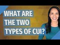 What are the two types of CUI?