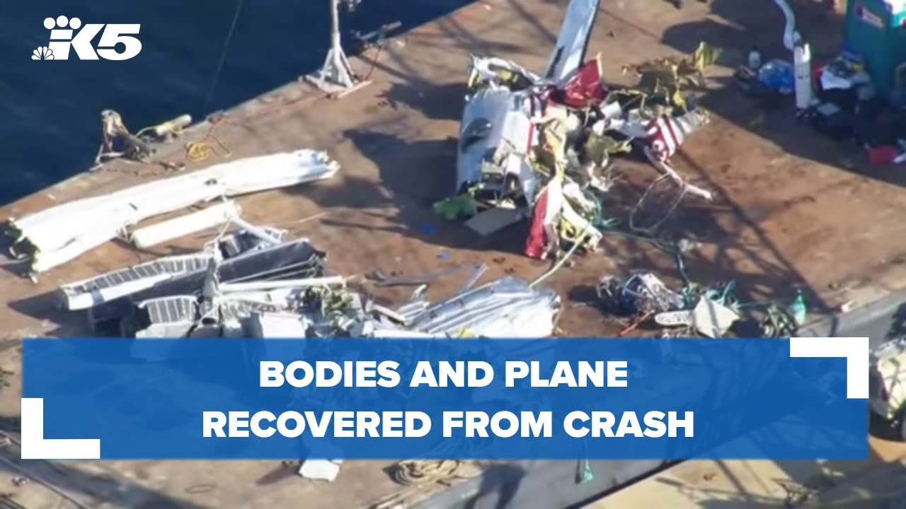 Bodies And Plane Recovered From Crash - YouTube