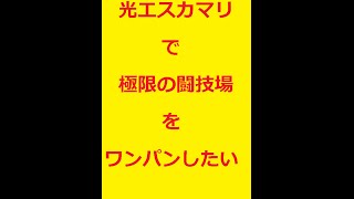 光エスカマリ(聖鐘の花嫁・エスカマリ)で極限の闘技場 ノーコンクリア 【パズドラ】