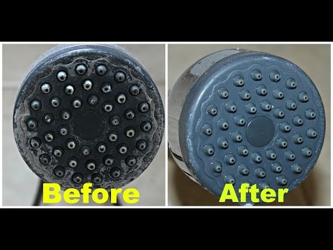 ★ 2 Minute Tuesday: Easy Way to Clean & Disinfect Your Shower Head!!!★ ★ 2 Minute Tuesday: Easy Way to Clean & Disinfect Your Shower Head!!!★