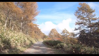 美ヶ原～和田～地蔵峠～高峰高原への裏林道を登って篭ノ登山へ