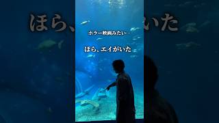 《神業》水族館デートのモテるテクニック#デート#美ら海水族館#shorts#ネタ