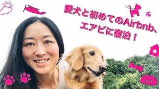 愛犬と初めてのAirbnb(エアビ)に宿泊！