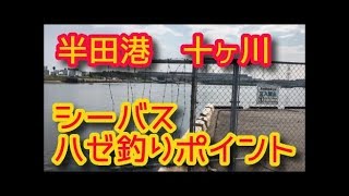 シーバス・ハゼ釣りポイント　半田港十ヶ川河口周辺　愛知魚釣りポイント動画