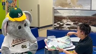 Athletics in Las Vegas Valley for Nevada Reading Week