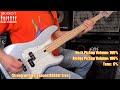 the $1500 bass that s worth it lakland skyline 4 string bass demo