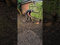 garden clearance in 60 seconds what would you do in the garden now satisfying powerwashing