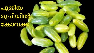 കോവക്ക ഇത്ര രുചിയിൽ  കഴിച്ചിട്ടുണ്ടോ?വീണ്ടുംവീണ്ടും     കഴിക്കും|Special Kovakka recipe malayalam