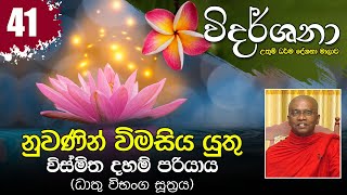 41) නුවණින් විමසිය යුතු විස්මිත දහම් පරියාය (ධාතු විභංග සූත්‍රය) | විදර්ශනා ධර්ම දේශනා මාලාව