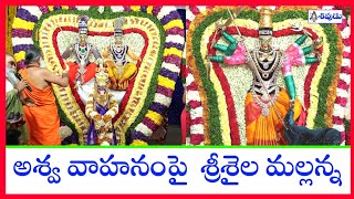 srisailam temple | aswa vahanam | అశ్వ వాహనంపై శ్రీశైల మల్లన్న | ugadi #sivudutv