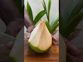 fantastic coconut cutting shortvideo greencoconut