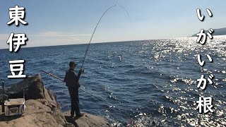 東伊豆イガイガ根でメジナ釣り 後編 視える大物を釣ってみた グレ釣り フカセ釣り MANCING MANIA JAPAN