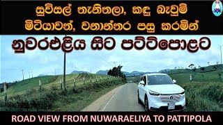 ROAD VIEW, තැනිතලා කඳුවැටි වනාන්තර මැදින් නුවරඑළියේ සිට පට්ටිපොලට...FROM NUWARAELIYA TO PATTIPOLA,SL