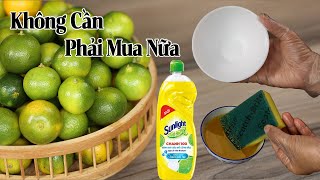 Từ nay bạn sẽ không phải mua Nước Rửa Chén khi biết cách làm này